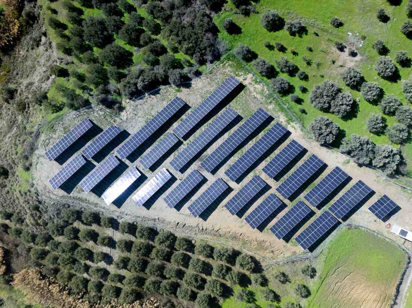 DJI_20260124113351_0254_D