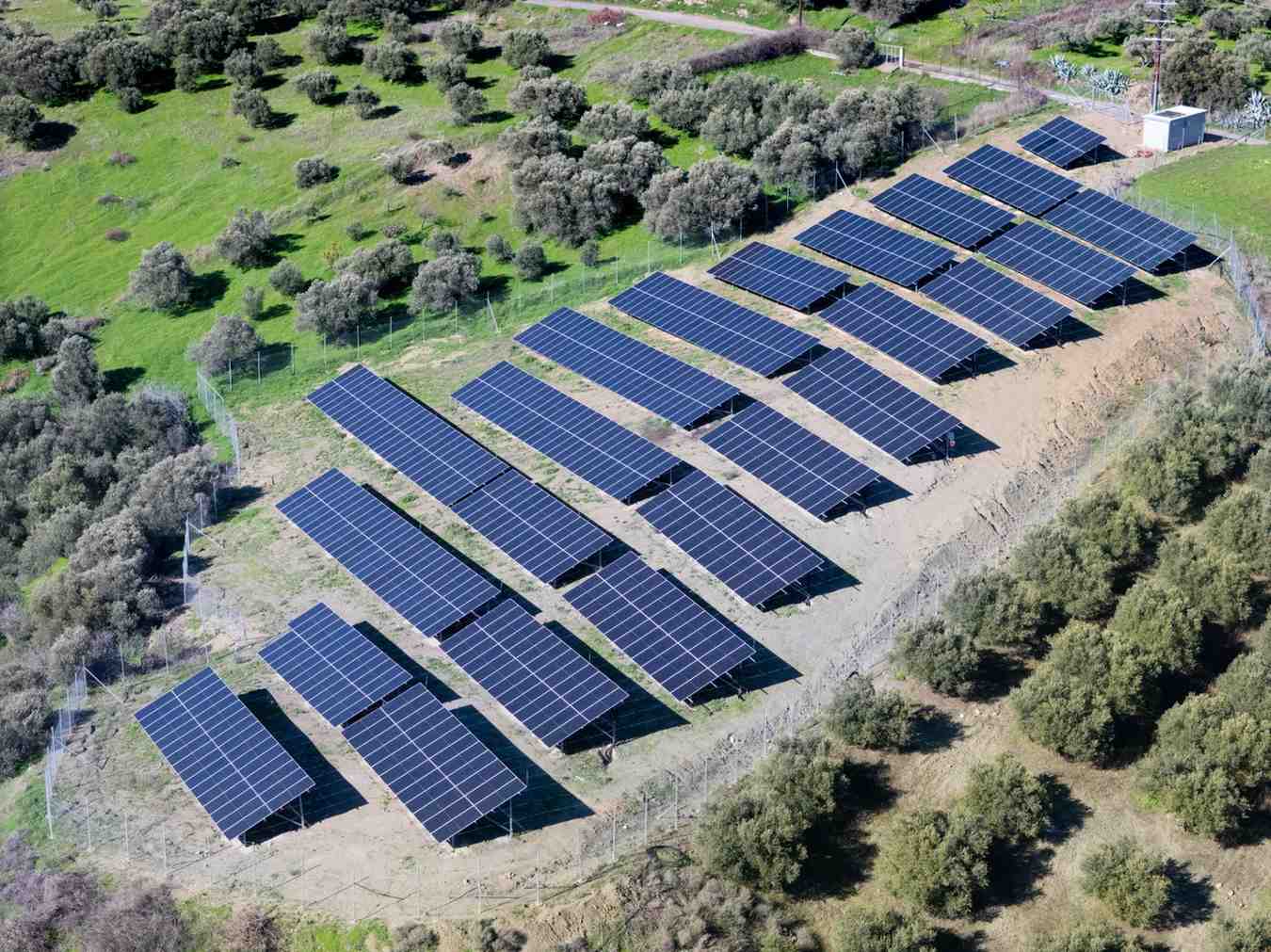 DJI_20260124113733_0259_D