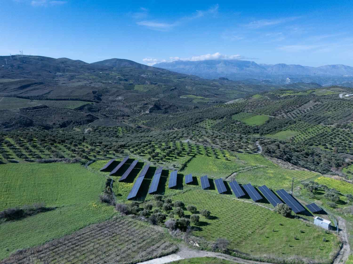 DJI_20260124122934_0296_D