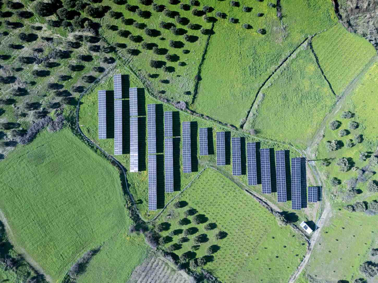 DJI_20260124123004_0298_D