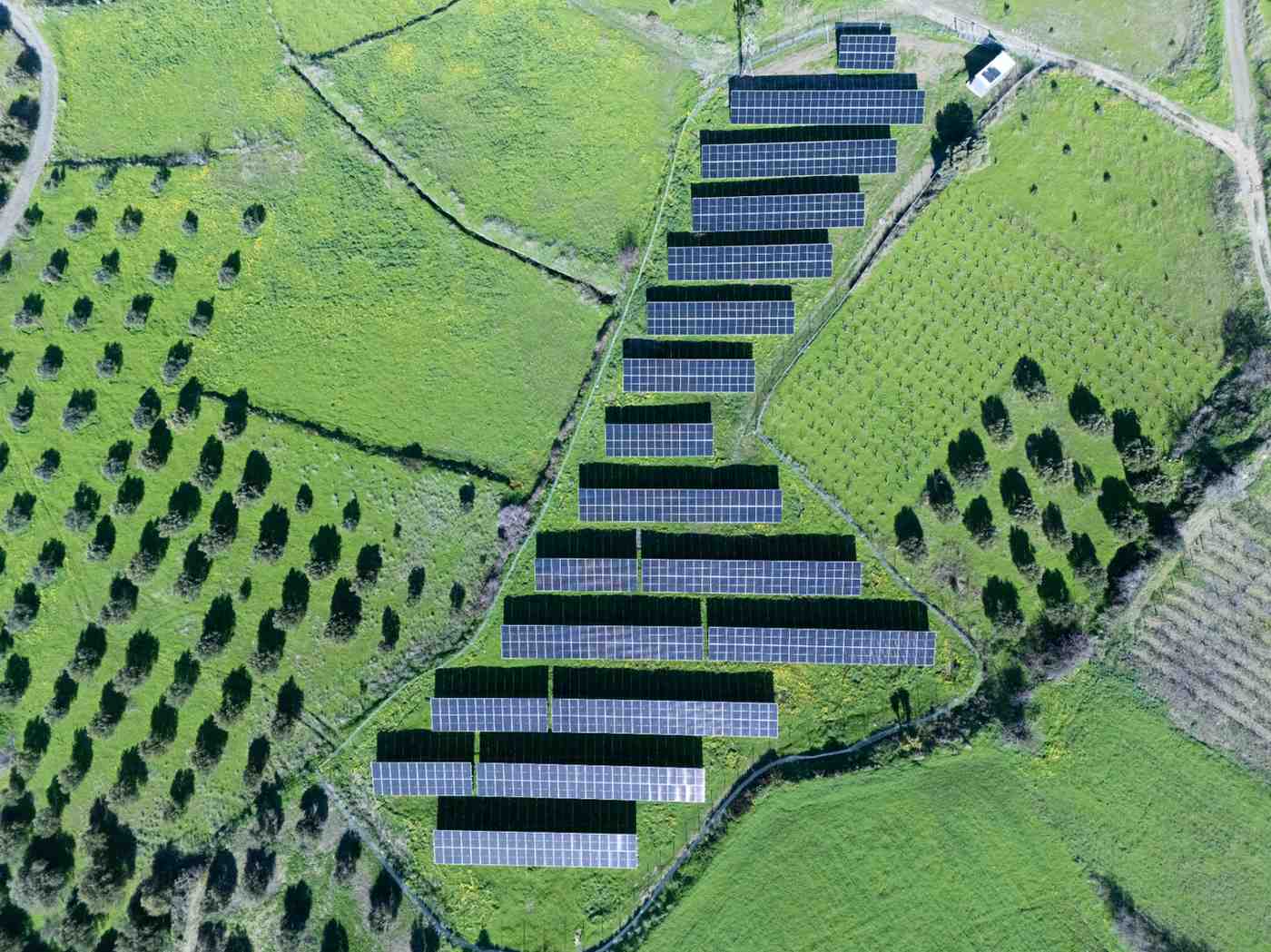 DJI_20260124123159_0303_D