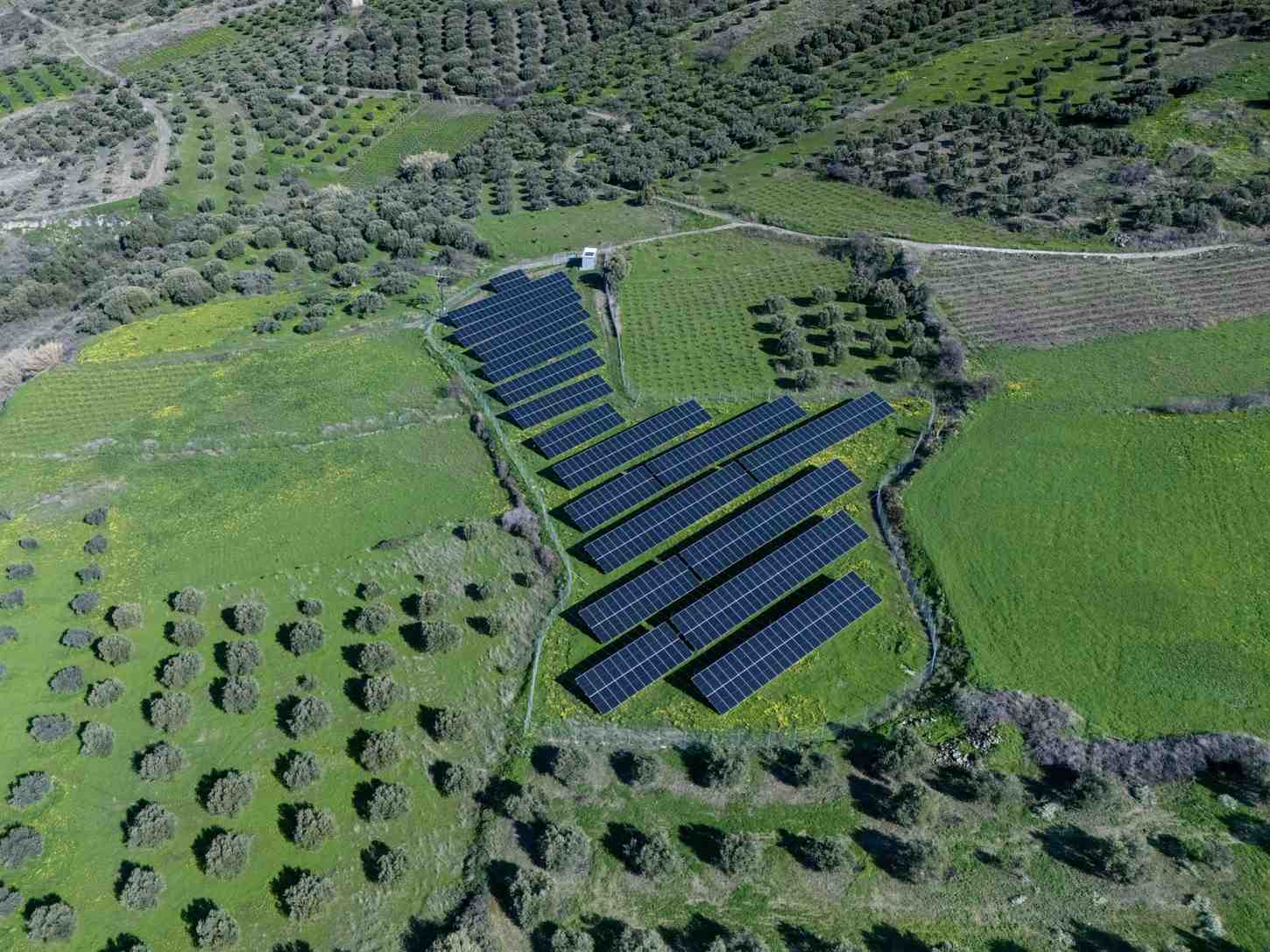 DJI_20260124123417_0307_D