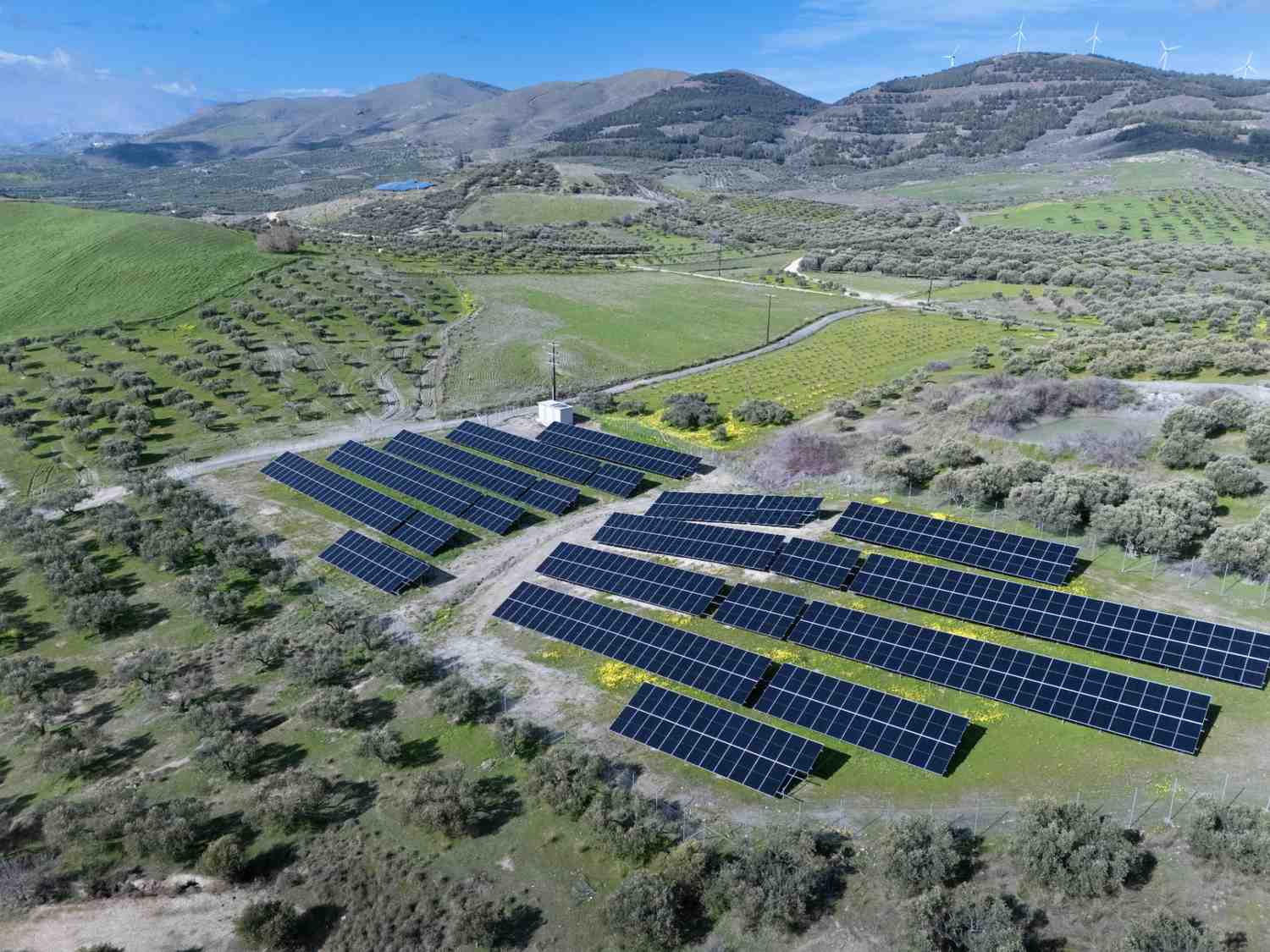 DJI_20260124131818_0328_D