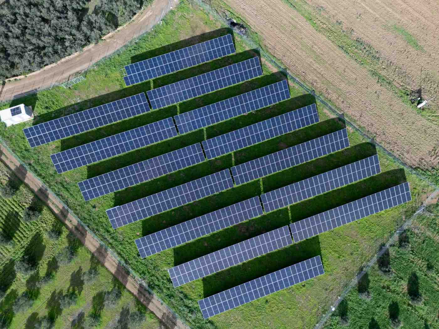 DJI_20260124142820_0366_D