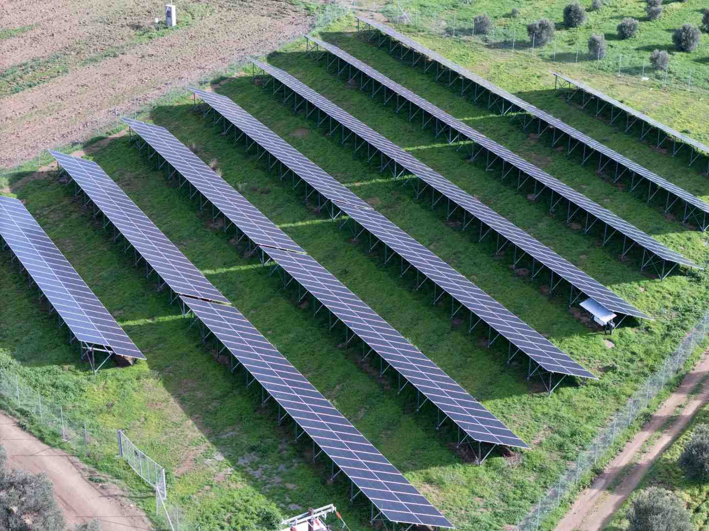 DJI_20260124143049_0371_D